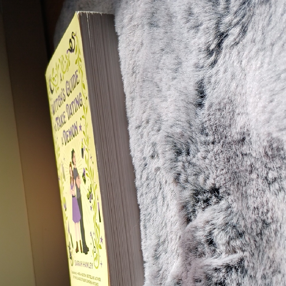 LAST CHANCE 2/$20 A Witch's Guide to Fake Dating a Demon Book - Picture 4 of 4